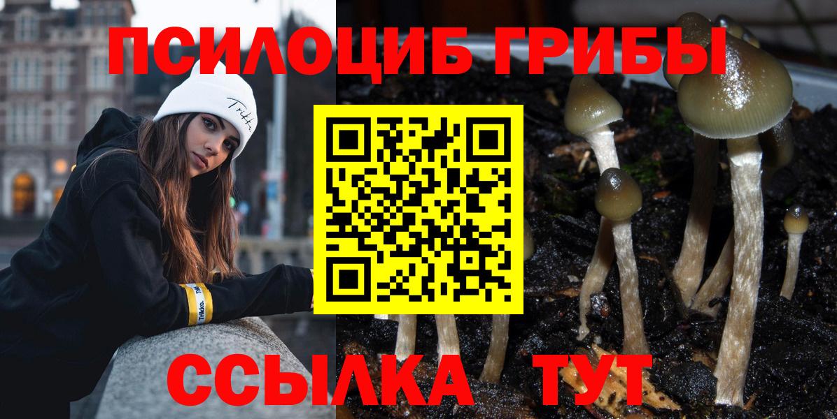 наркота  Псилоцибиновые грибы Psilocybe  Вход с VPN  Переславль-Залесский 
