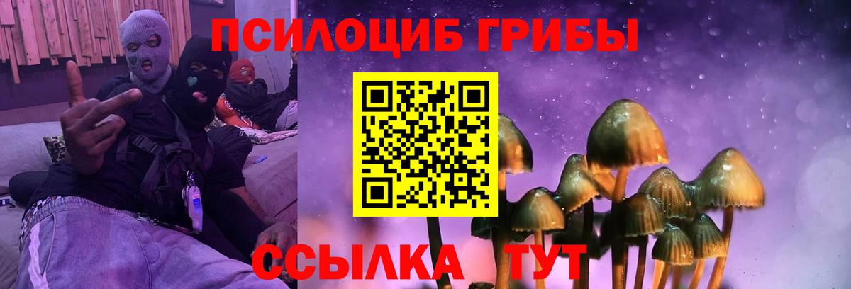 Галлюциногенные грибы GOLDEN TEACHER Переславль-Залесский